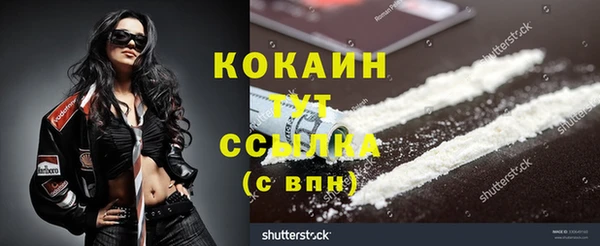 кокс Козельск