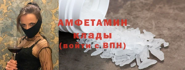 крисы Абаза