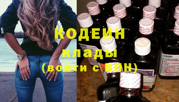 крисы Абаза