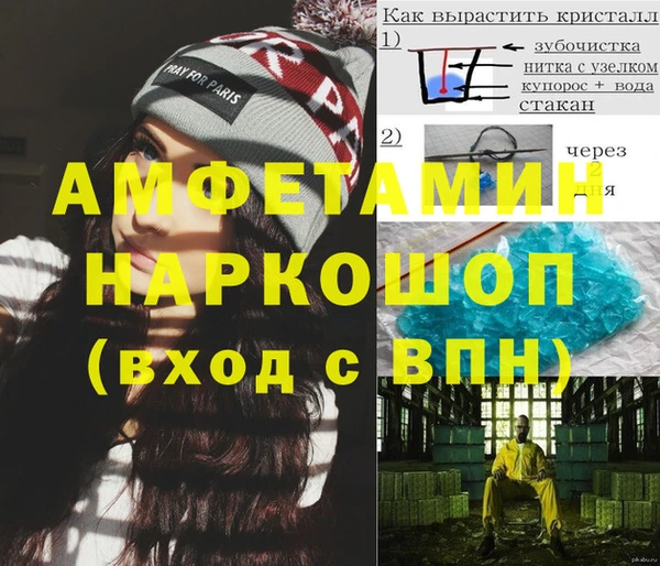 крисы Абаза