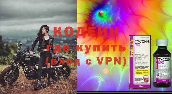 крисы Абаза