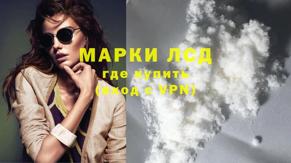 молекула духа Козловка