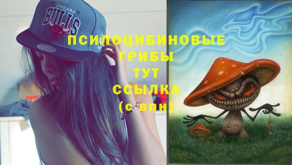 2c-b Кодинск