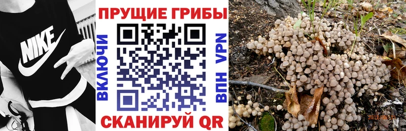 ОМГ ОМГ ONION  Новое Девяткино  Псилоцибиновые грибы прущие грибы  где купить наркоту 